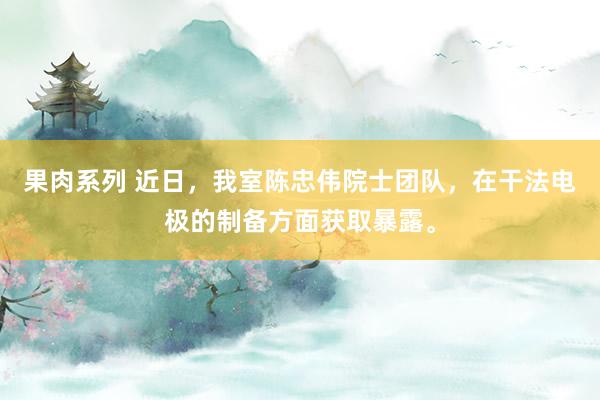 果肉系列 近日，我室陈忠伟院士团队，在干法电极的制备方面获取暴露。