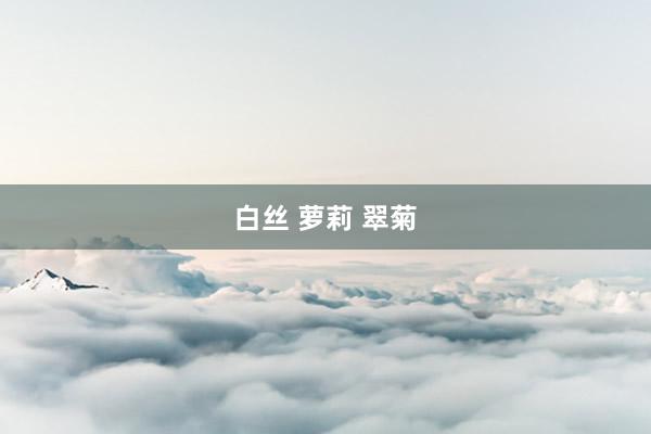 白丝 萝莉 翠菊