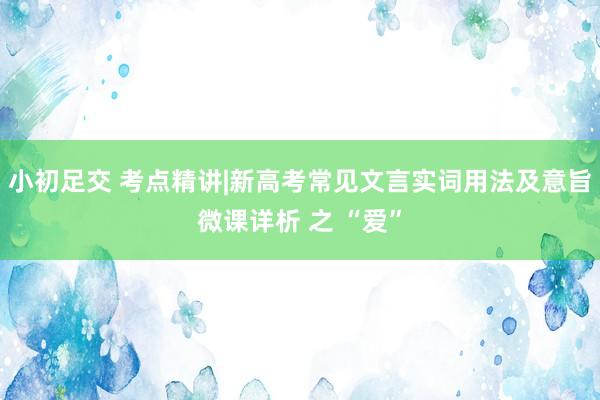 小初足交 考点精讲|新高考常见文言实词用法及意旨微课详析 之 “爱”