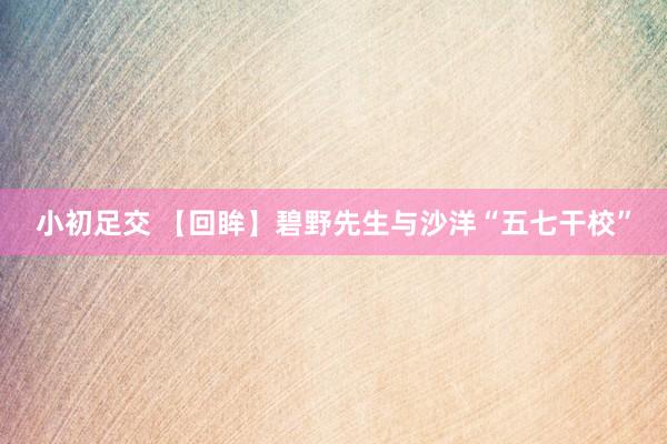 小初足交 【回眸】碧野先生与沙洋“五七干校”