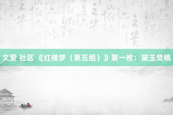文爱 社区 《红楼梦（第五组）》第一枚：黛玉焚稿