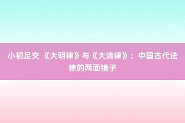 小初足交 《大明律》与《大清律》：中国古代法律的两面镜子