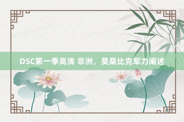 DSC第一季高清 非洲，莫桑比克军力阐述