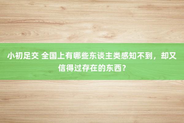 小初足交 全国上有哪些东谈主类感知不到，却又信得过存在的东西？