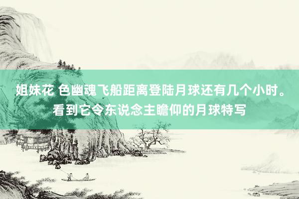 姐妹花 色幽魂飞船距离登陆月球还有几个小时。看到它令东说念主瞻仰的月球特写