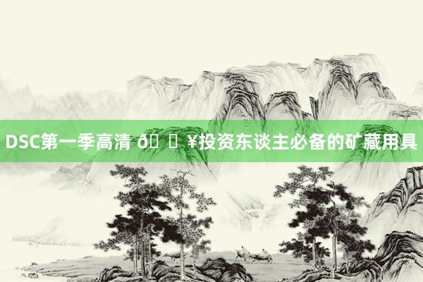 DSC第一季高清 🔥投资东谈主必备的矿藏用具